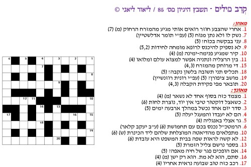 תשבץ היגיון 85